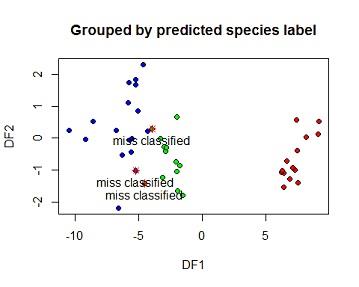 Grouped by original species label.jpg